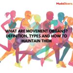 What are Movement Organs? Definition, Types and How to Maintain Them