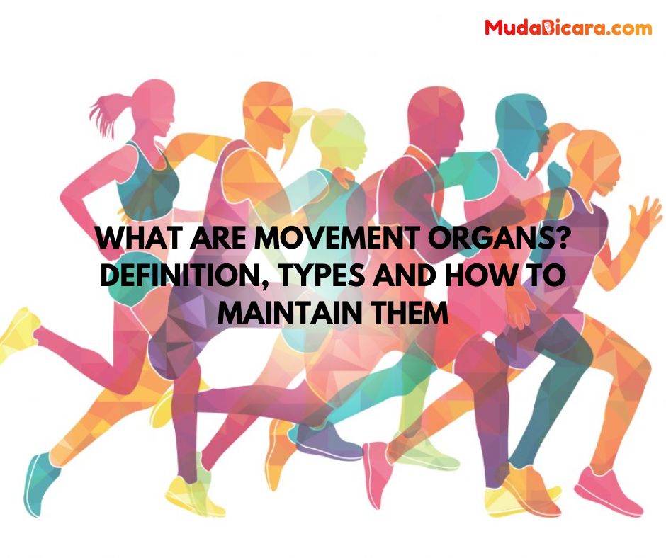 What are Movement Organs? Definition, Types and How to Maintain Them