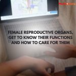 Female Reproductive Organs, Get to Know Their Functions and How to Care for Them