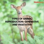 Types of Animal Reproduction: Generative and Vegetative