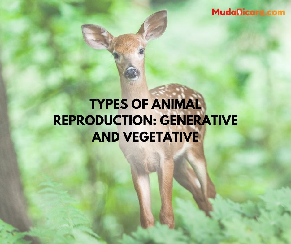 Types of Animal Reproduction: Generative and Vegetative