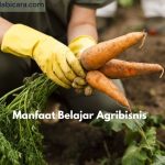 Manfaat Belajar Agribisnis