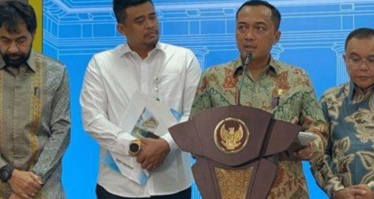 Pulau
