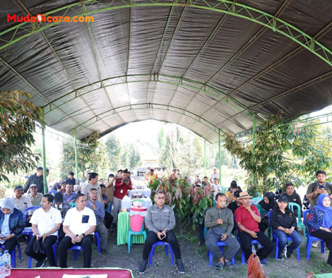 Transmigrasi