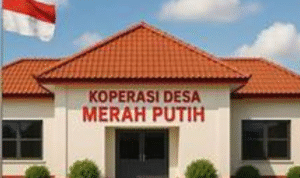 Koperasi