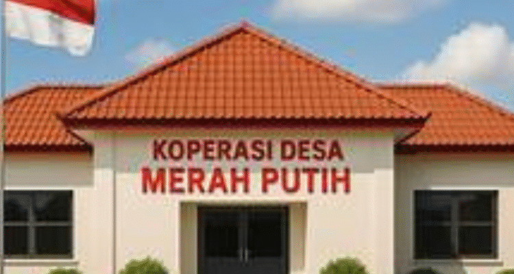 Koperasi